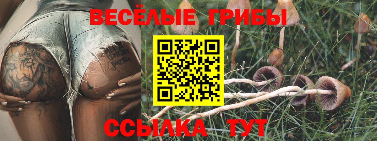 Саратов  Галлюциногенные грибы MAGIC MUSHROOMS  Галлюциногенные грибы мухоморы  Вход с VPN 