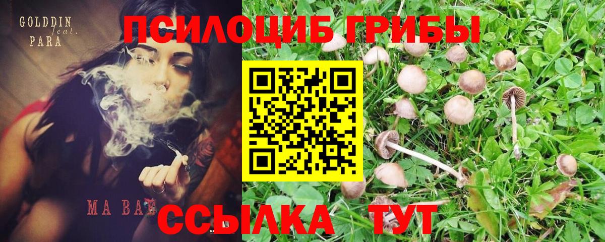 Галлюциногенные грибы мицелий Саратов